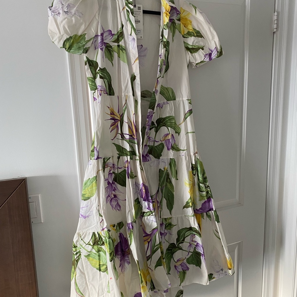 Zara balloon sleeve dress